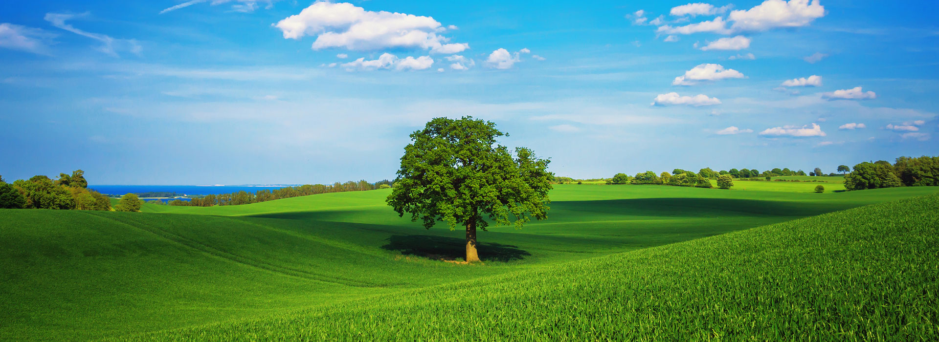 bossgas-plin-ovlasteni-servis-bojlera-vaillant-servis-bosch-servis-boderus-servis-junkers-servis-plinskih-bojlera-bosna-i-hercegovina-tomislavgrad-autoplin-plin-u-bocama-plin-u-spremnicima-5